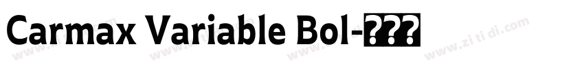 Carmax Variable Bol字体转换